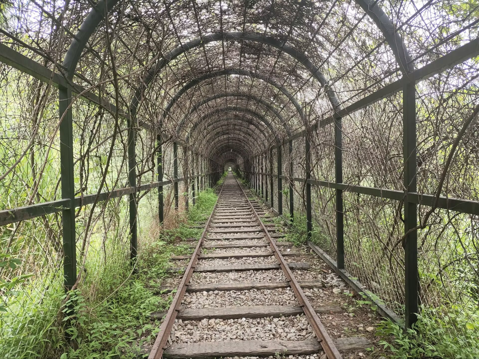 Featured image of post weekly10