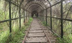 Featured image of post weekly10